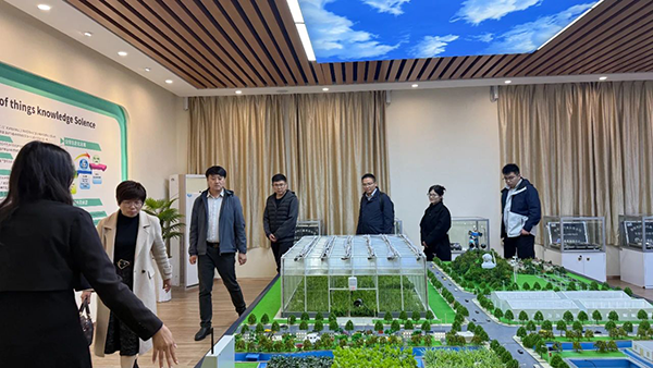 首页- 尊龙集团中国官方网站
